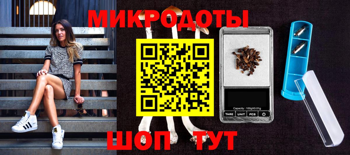 Галлюциногенные грибы Psilocybe  Вход с VPN  Кунгур 